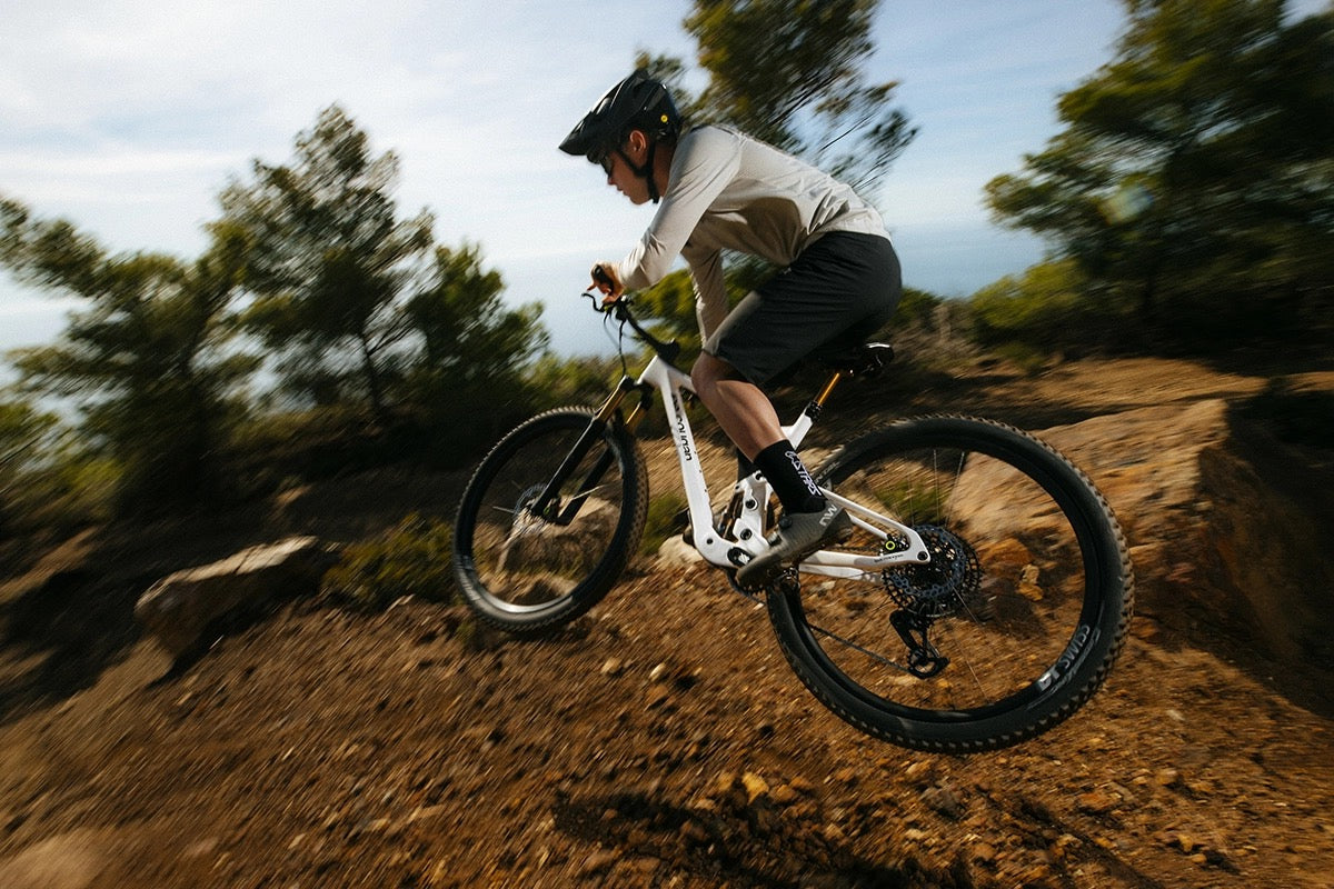 Bici Mountainbike