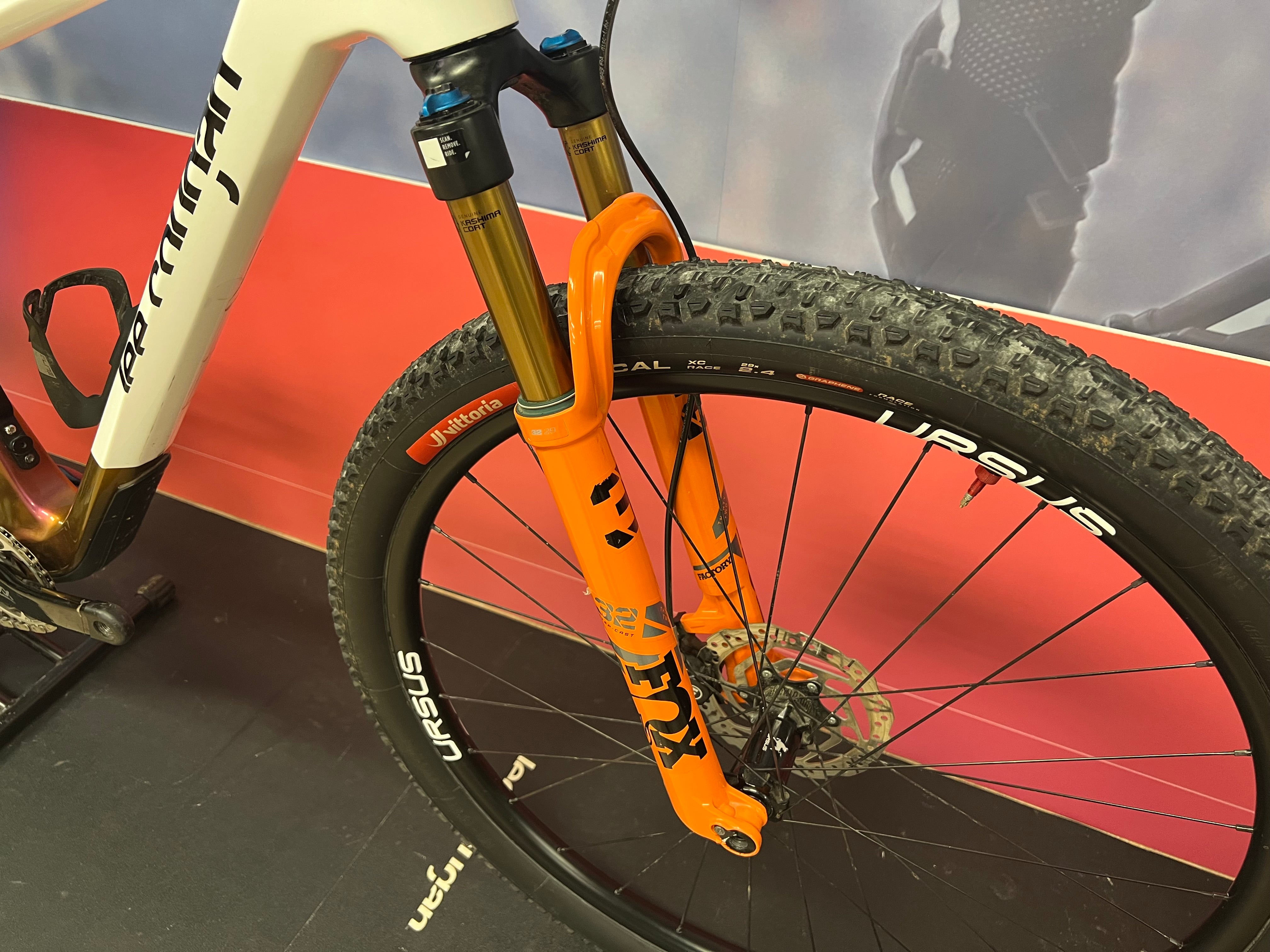 Usato MTB 29" Lee Cougan Rampage Innova tg.M