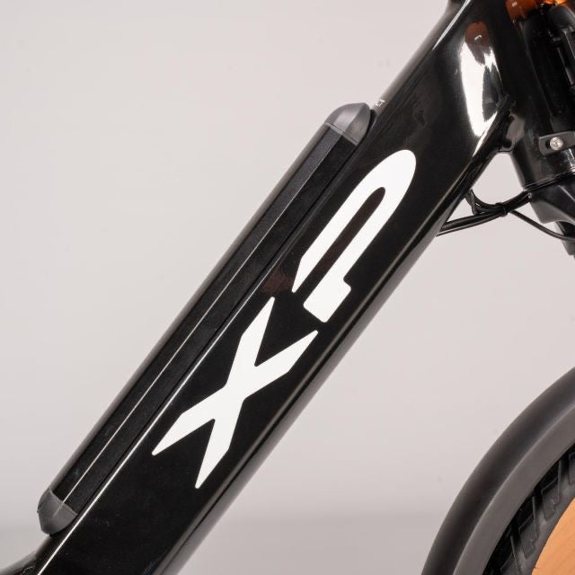 XP City Ebike I-K2+