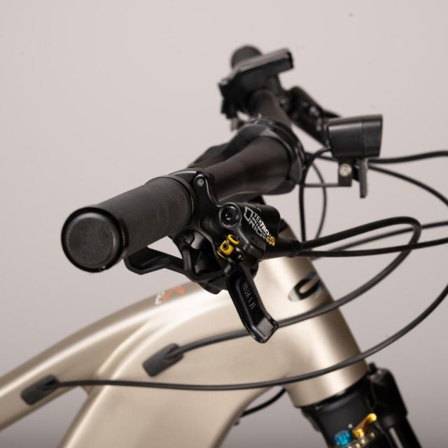 XP X-FLOW MTB