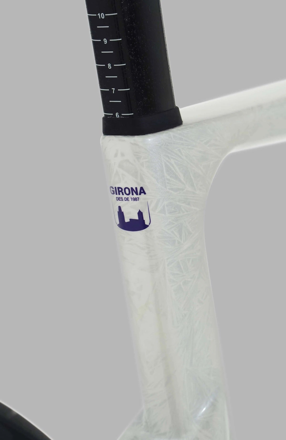 Megamo Pulse Sram Force - HAMMERHEAD LTD Road