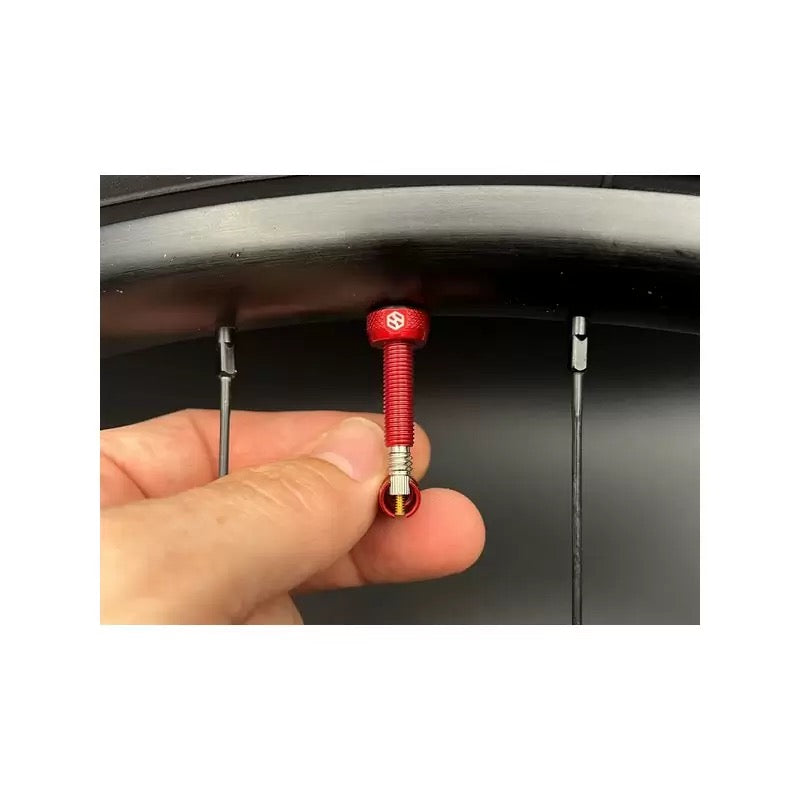 Coppia Valvole Tubeless 44mm - Compatibile con inserti