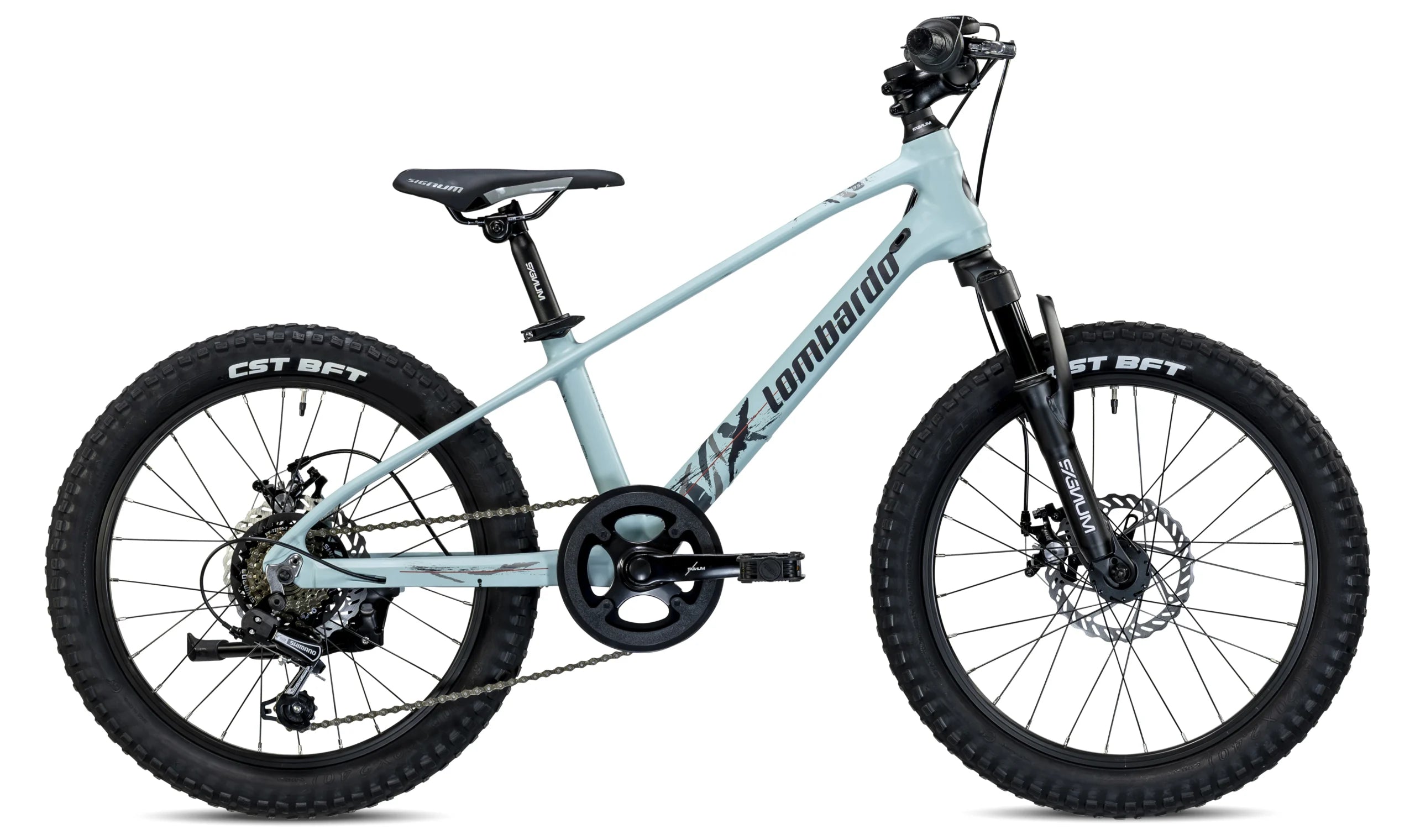 Bici Lombardo Vesuvio  20"